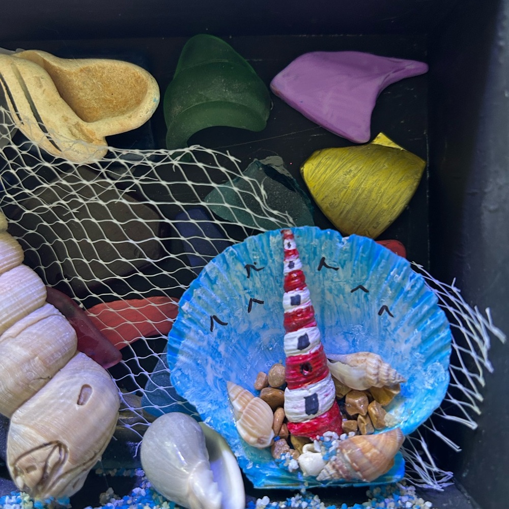 Shadowbox seashell art - Picture 2 of 4